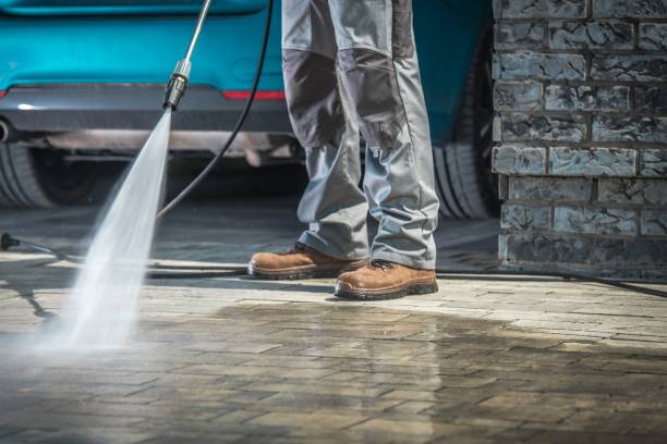 Best Animal Enclosure Cleaning  in South Beloit, IL
